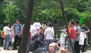 sma