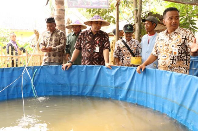 Desa Kayu Bongkok Optimis Raih Juara P2wkss Tingkat Provinsi Banten